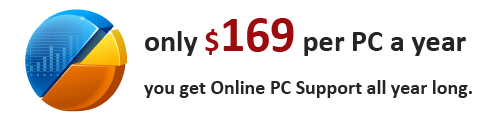By paying $169 per PC a year, you get Online PC Support all year long.
