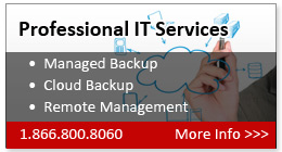 professional Service