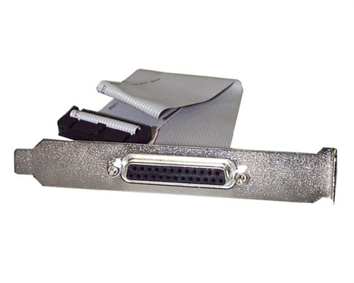 StarTech.com PLATE25F16, DB-25, IDC, 0,4 m, Grey